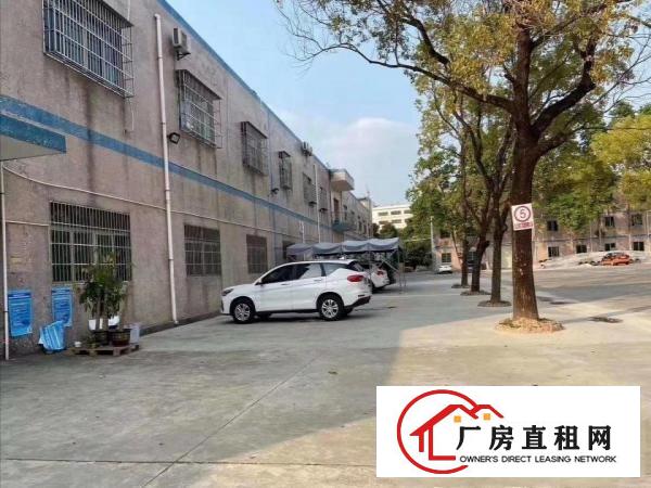  无公摊原房东清溪新出一楼800平方楼上2000平方急租