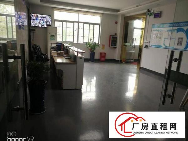  无公摊原房东清溪新出一楼800平方楼上2000平方急租
