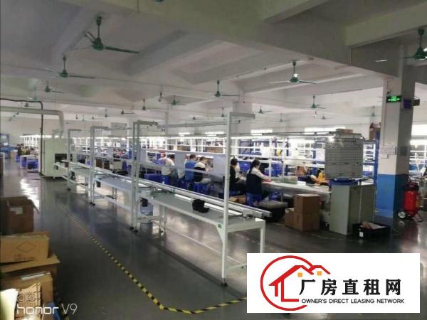  无公摊原房东清溪新出一楼800平方楼上2000平方急租