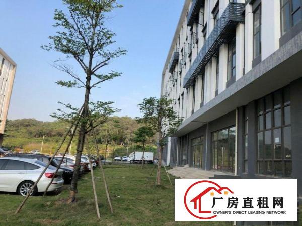  清溪花园式厂房出租无公摊