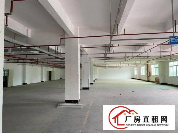  无公摊，实际面积出租
