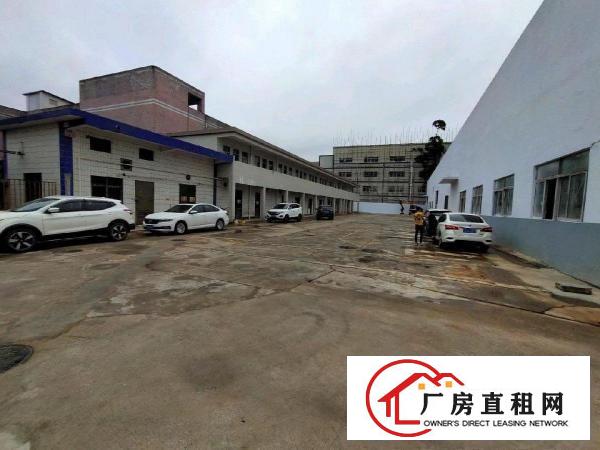  清溪三中原房东单一层7米高独门独院厂房出租可分两独院