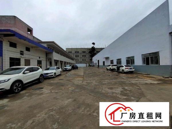  清溪三中原房东单一层7米高独门独院厂房出租可分两独院