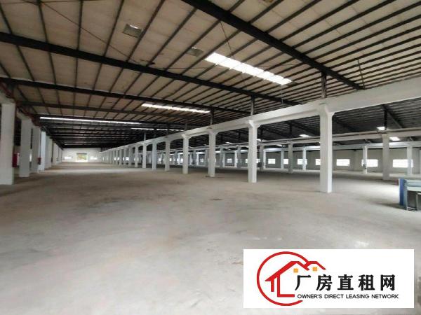  清溪三中原房东单一层7米高独门独院厂房出租可分两独院