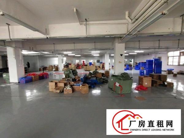  清溪三中标准三楼1200平招租精装修