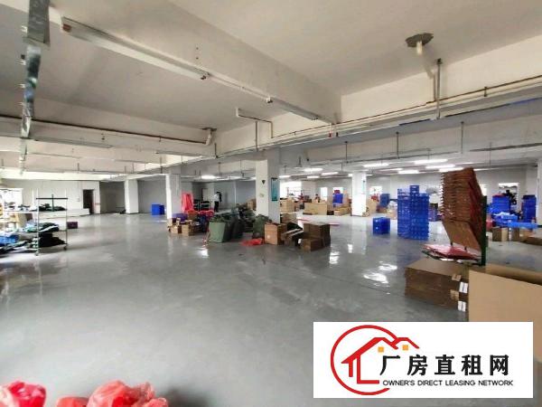  清溪三中标准三楼1200平招租精装修