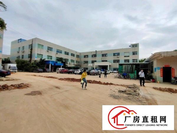  清溪三中标准三楼1200平招租精装修