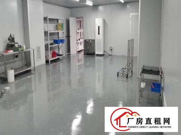  清溪无尘车间出租2500平方可做口罩