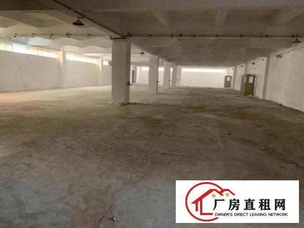  清溪镇新出原房东厂房