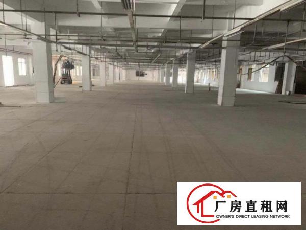  清溪镇新出原房东厂房