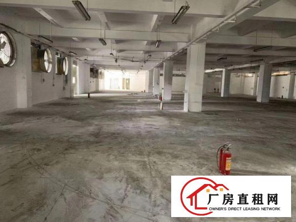  清溪镇新出原房东厂房