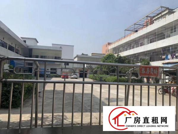  清溪镇新出三中原房东厂房独门独院实际面积3300平方出租