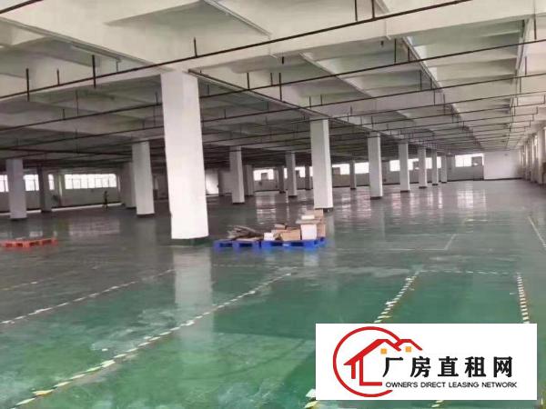  清溪包装印刷家具五金电脑锣冷冻电商仓库出租12000平