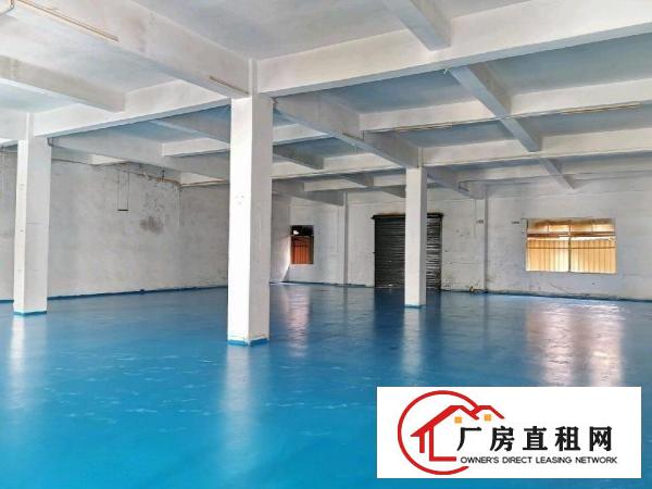  标准厂房二楼1100平