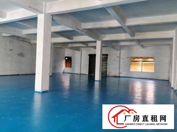  标准厂房二楼1100平