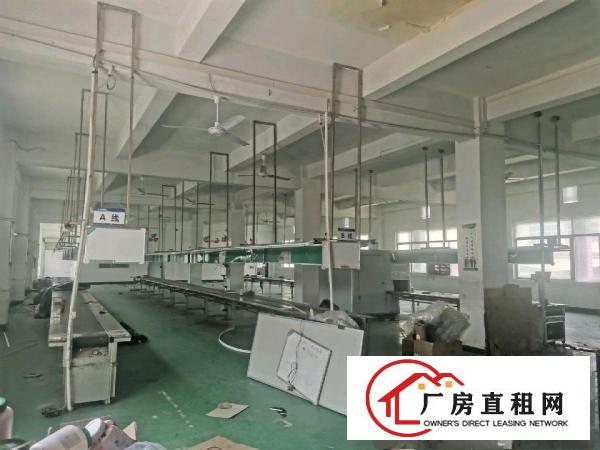  原房东无公摊实际面积出租