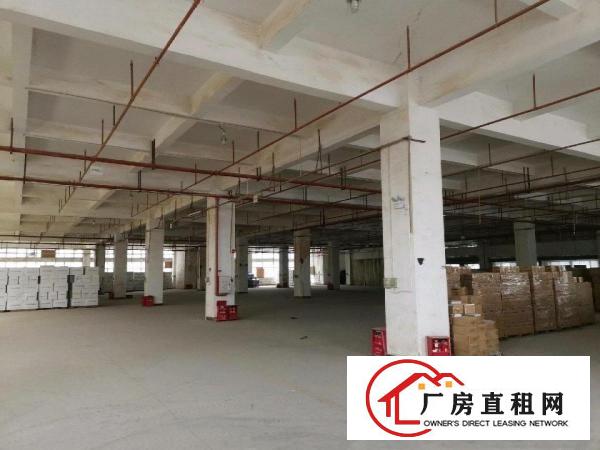  原房东厂房直租无公摊
