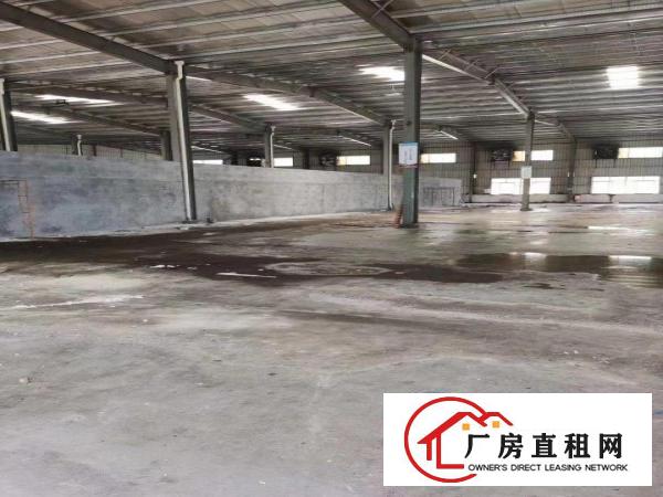  清溪浮岗村新空出独门独院单一层钢构厂房3900²滴水9米