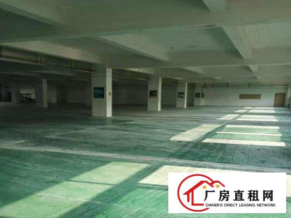  出租清溪镇上元原房东独院厂房3200平方，带地坪漆，可办环评