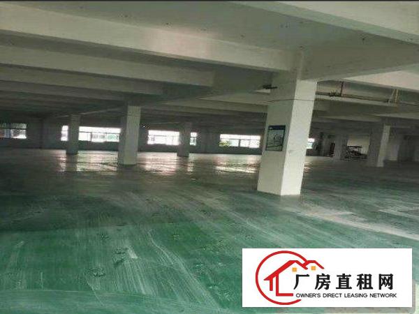  出租清溪镇上元原房东独院厂房3200平方，带地坪漆，可办环评