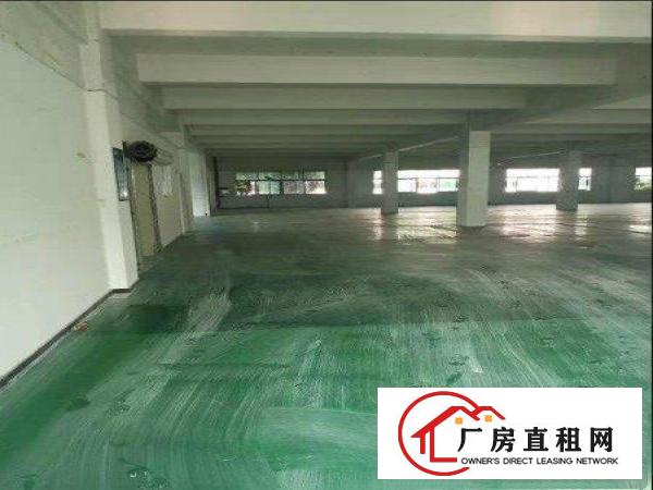  出租清溪镇上元原房东独院厂房3200平方，带地坪漆，可办环评