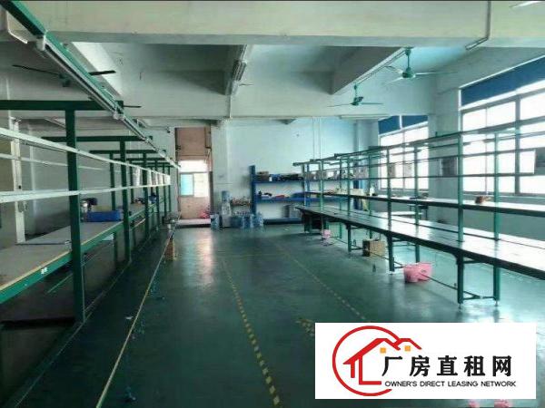  出租清溪镇上元原房东独院厂房3200平方，带地坪漆，可办环评