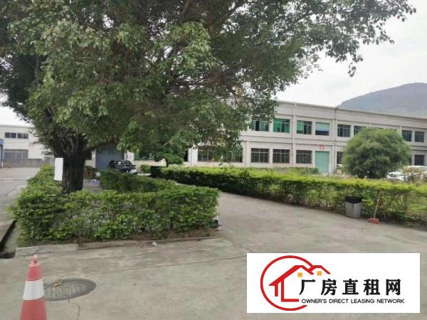  清溪新空出独院厂房一栋2层厂房