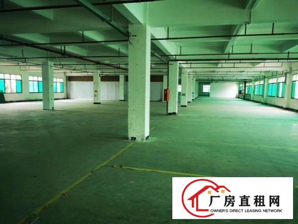  清溪新空出独院厂房一栋2层厂房