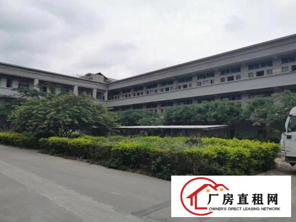  清溪新空出独院厂房一栋2层厂房