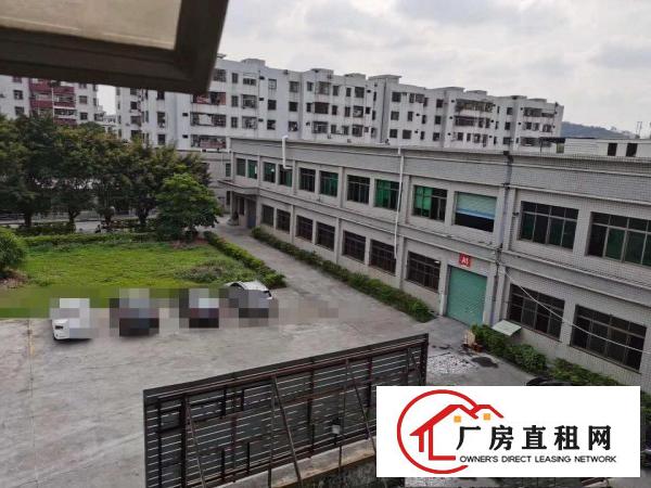  清溪荔横两层独院厂房出租7000平形像好空地大