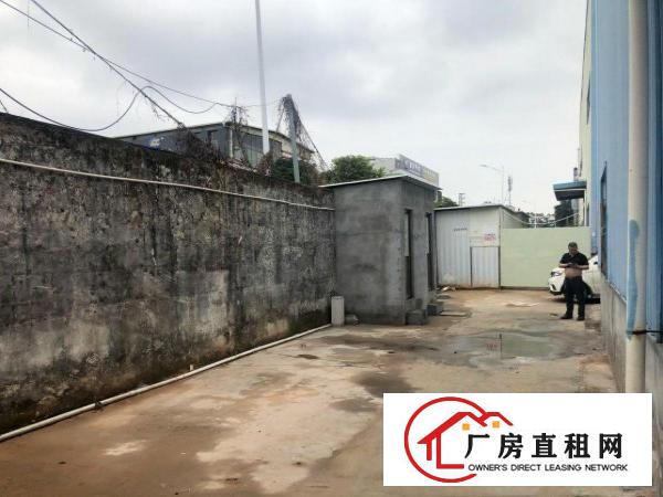  原房东新空出单一层钢构厂房600平方滴水8米