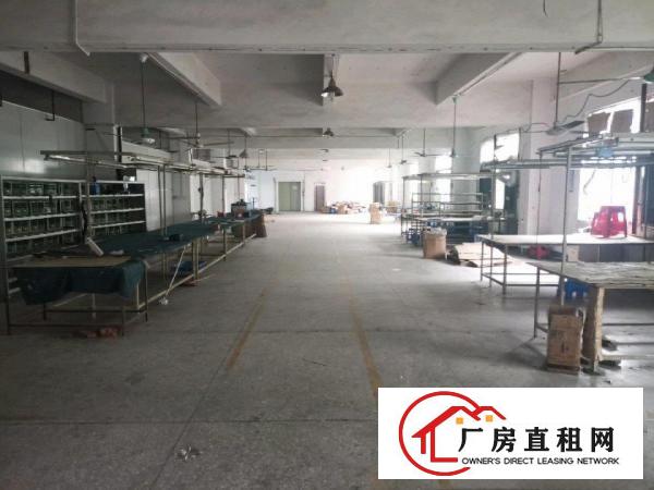  清溪新出厂房，无公摊，使用面积大，带装修，主线到位