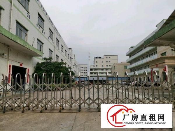  原房东2楼1300平！