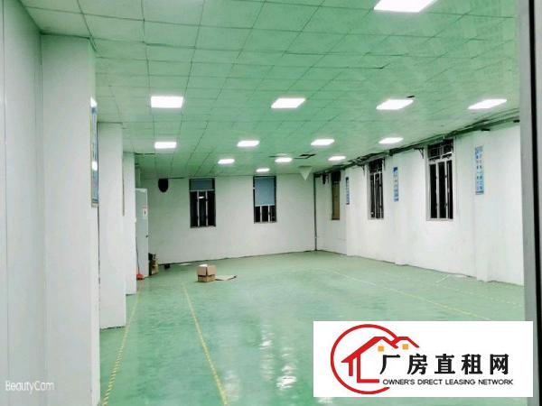  清溪镇带装修楼上厂房1150平米11元低价出租