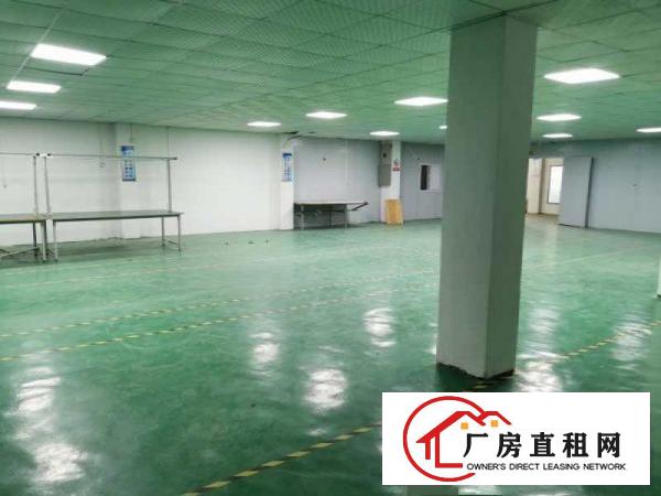  本人现分租清溪镇三中村东成街2号950平办公室装修厂房