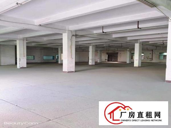  清溪荔横独院厂房出租24500平证件齐全适合各行业可分