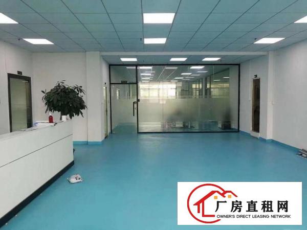  无转让费精装修电子电商办公贸易清溪厂房出租1000平