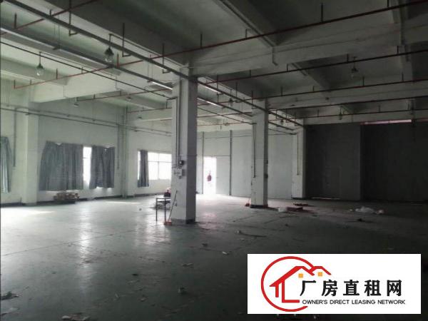  大埔工业园新出带喷淋一楼1300平方招租
