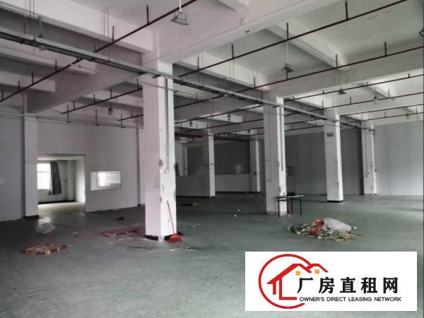  大埔工业园新出带喷淋一楼1300平方招租
