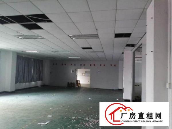  大埔工业园新出带喷淋一楼1300平方招租