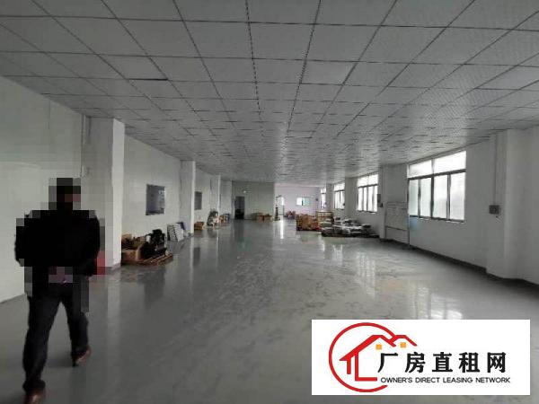  清溪大利小型电子组装加工厂房出租600平也可做电商贸易