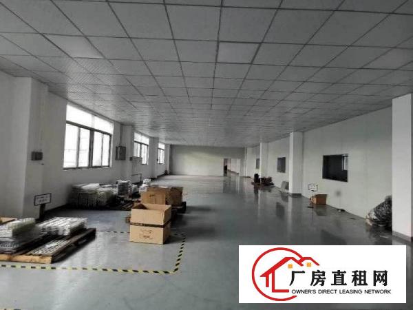  清溪大利小型电子组装加工厂房出租600平也可做电商贸易