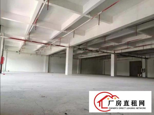  青皇原房东三楼1000平方到现成装修