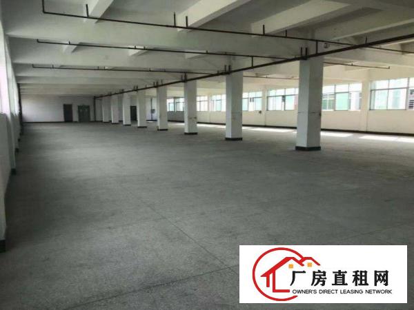  谢坑工业园内标准二楼厂房850平招租
