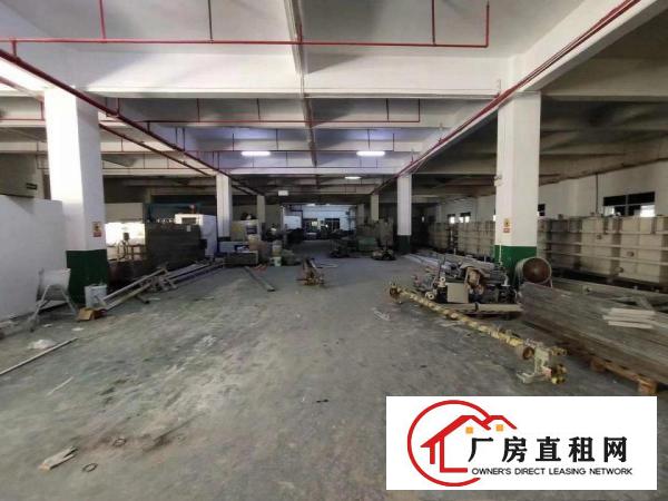  清溪原房东直租独院厂房出租9500平米双证齐全合适各种行