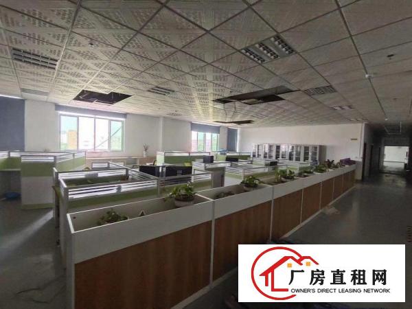  清溪原房东直租独院厂房出租9500平米双证齐全合适各种行
