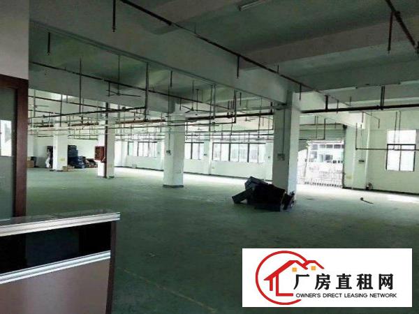  清溪镇三中新空出（实际面积）一楼500平精装修厂房招租