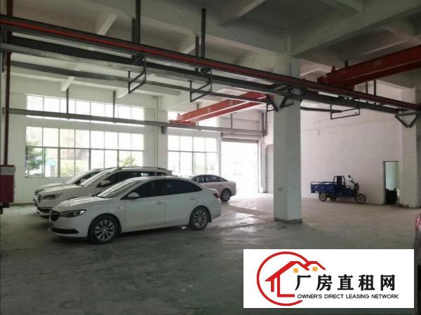  清溪三中新出标准一楼厂房实际面积800方可办环评带装修