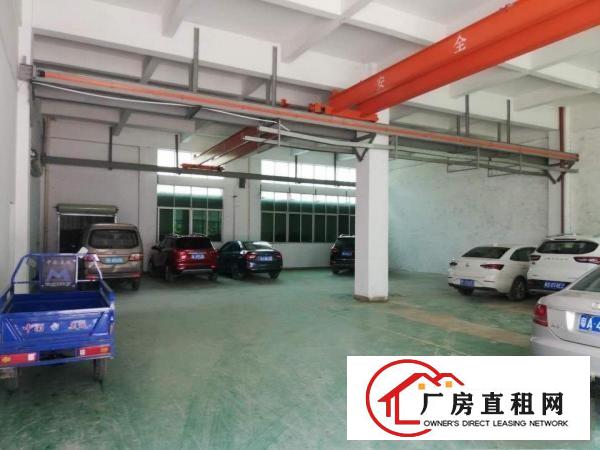  清溪三中新出标准一楼厂房实际面积800方可办环评带装修
