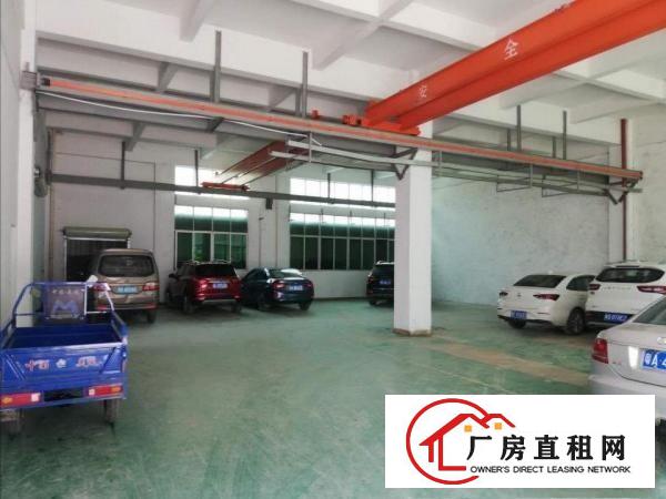  清溪三中新出标准一楼厂房实际面积800方可办环评带装修